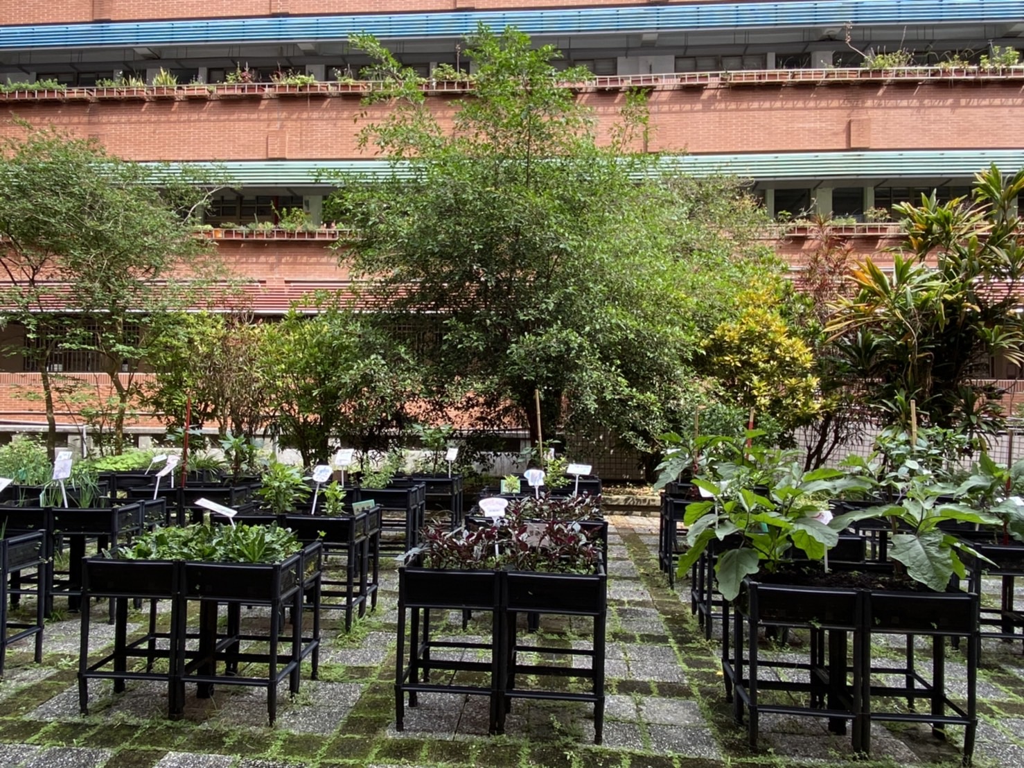 陳曉萍與學生互動生活照